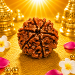 6 Mukhi