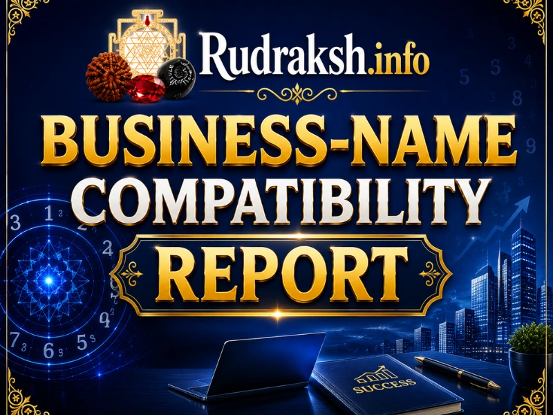 Business Name Compatibility Numerology Report