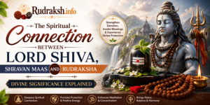 uploads/blog/13978483103246a72d865544adshivaandshravan.png