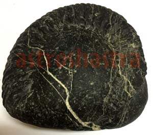 Shaligram: The Sacred Stone of Timeless Devotion and Natural Art