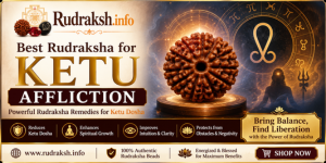 Best Rudraksha for Ketu Affliction | Powerful Rudraksha Remedies for Ketu Dosha